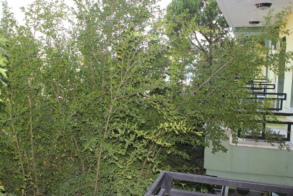 Flora Hotel Koycegiz  객실 사진